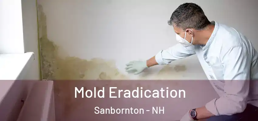Mold Eradication Sanbornton - NH