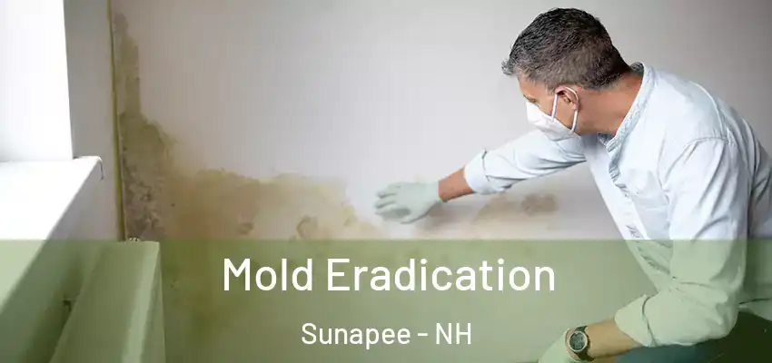 Mold Eradication Sunapee - NH