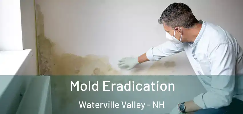 Mold Eradication Waterville Valley - NH