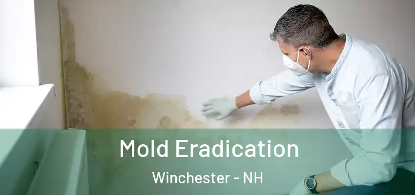  Mold Eradication Winchester - NH