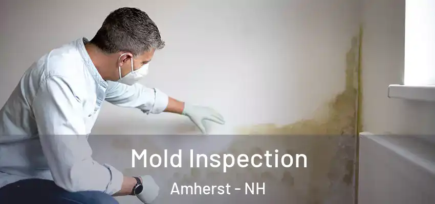 Mold Inspection Amherst - NH