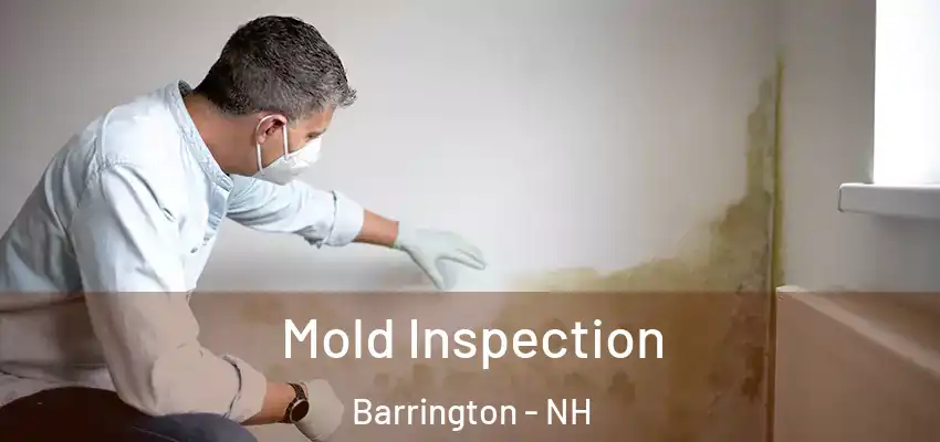  Mold Inspection Barrington - NH