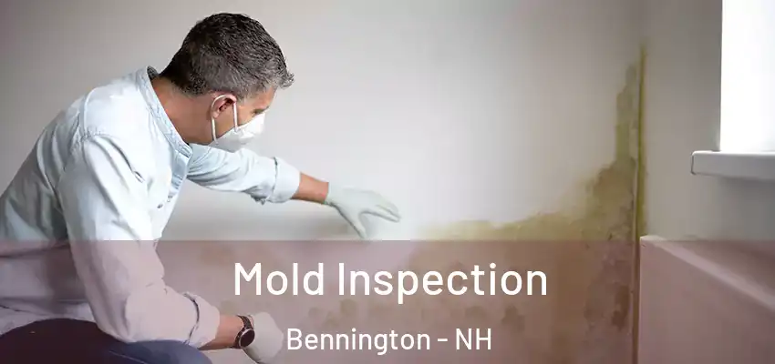  Mold Inspection Bennington - NH