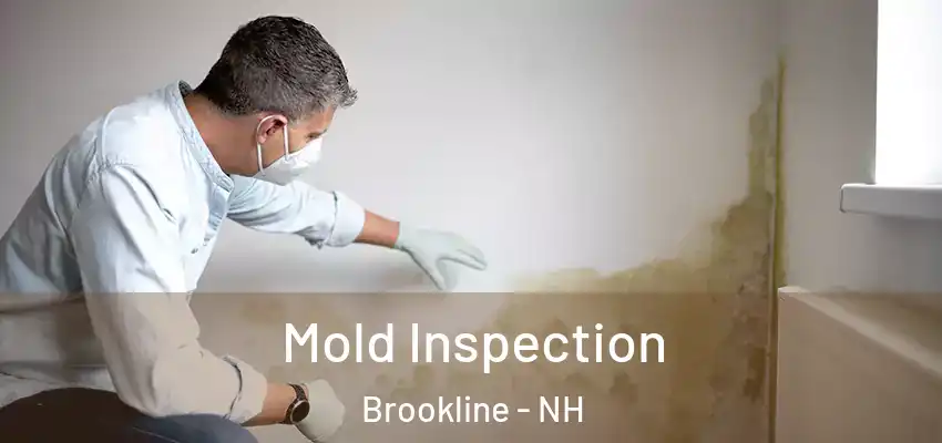  Mold Inspection Brookline - NH
