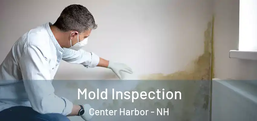 Mold Inspection Center Harbor - NH