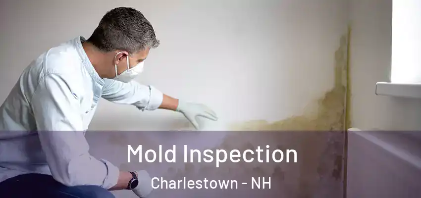  Mold Inspection Charlestown - NH