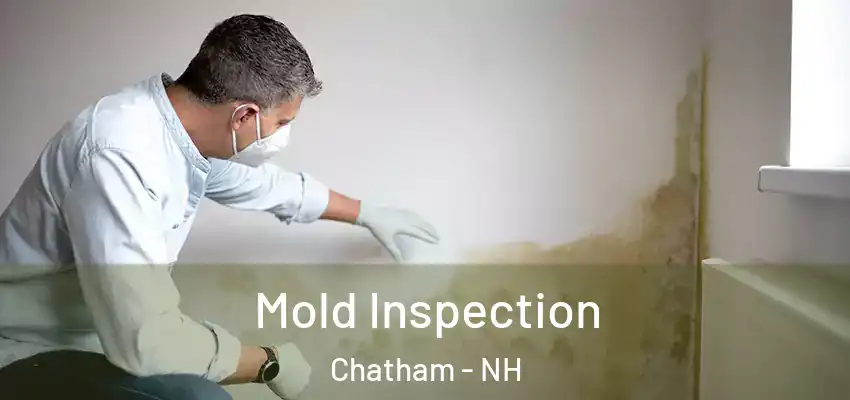 Mold Inspection Chatham - NH
