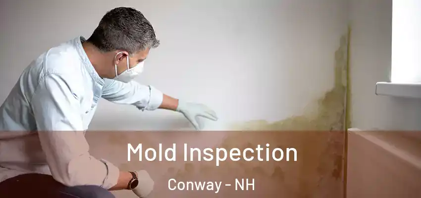 Mold Inspection Conway - NH