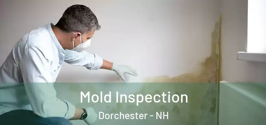  Mold Inspection Dorchester - NH