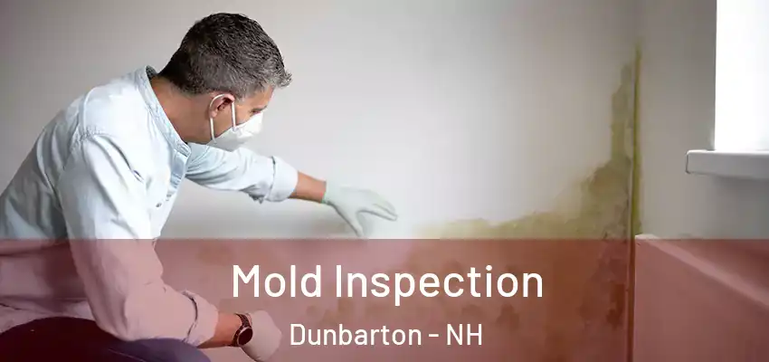  Mold Inspection Dunbarton - NH