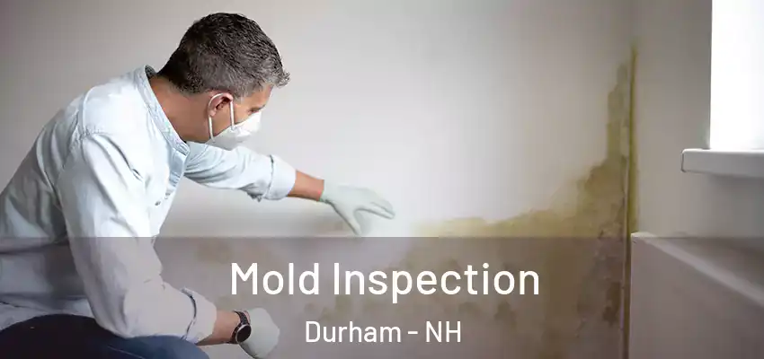  Mold Inspection Durham - NH