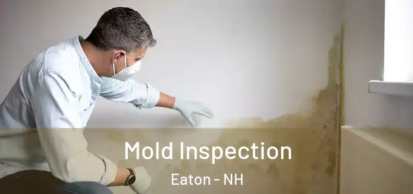 Mold Inspection Eaton - NH