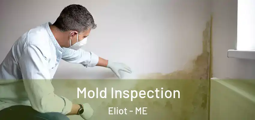 Mold Inspection Eliot - ME