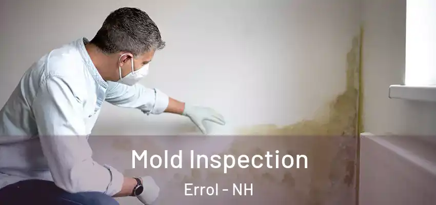 Mold Inspection Errol - NH