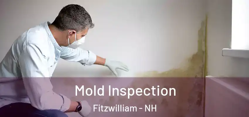  Mold Inspection Fitzwilliam - NH