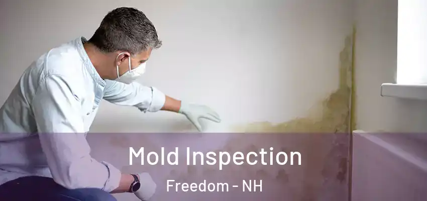 Mold Inspection Freedom - NH