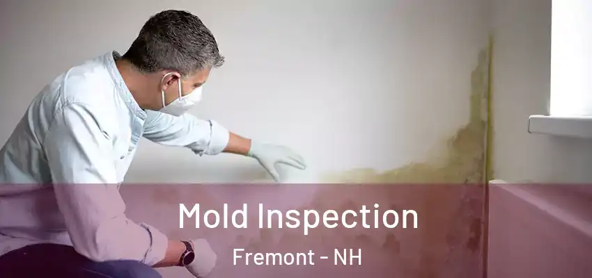  Mold Inspection Fremont - NH