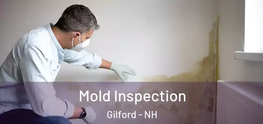 Mold Inspection Gilford - NH