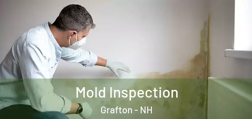 Mold Inspection Grafton - NH