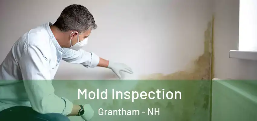 Mold Inspection Grantham - NH