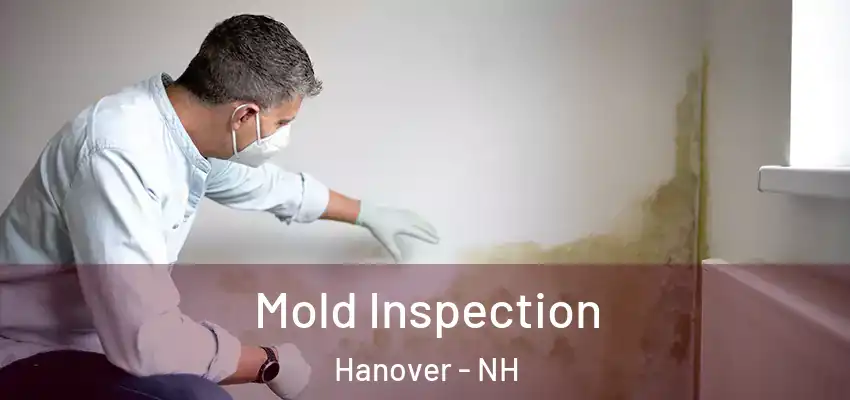 Mold Inspection Hanover - NH