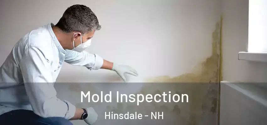  Mold Inspection Hinsdale - NH