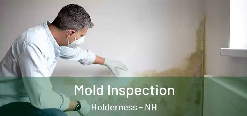 Mold Inspection Holderness - NH