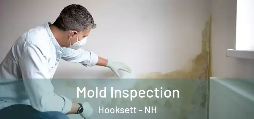  Mold Inspection Hooksett - NH