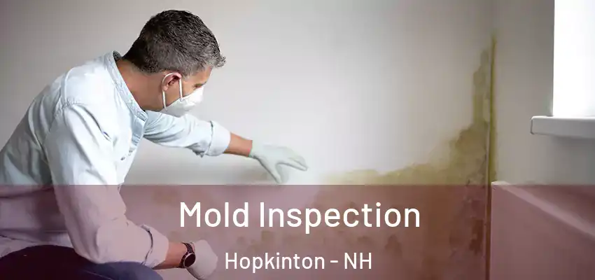  Mold Inspection Hopkinton - NH