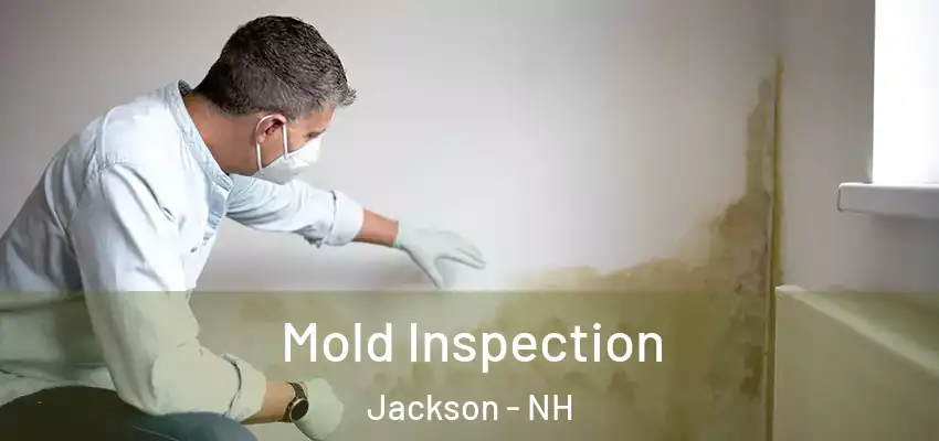 Mold Inspection Jackson - NH