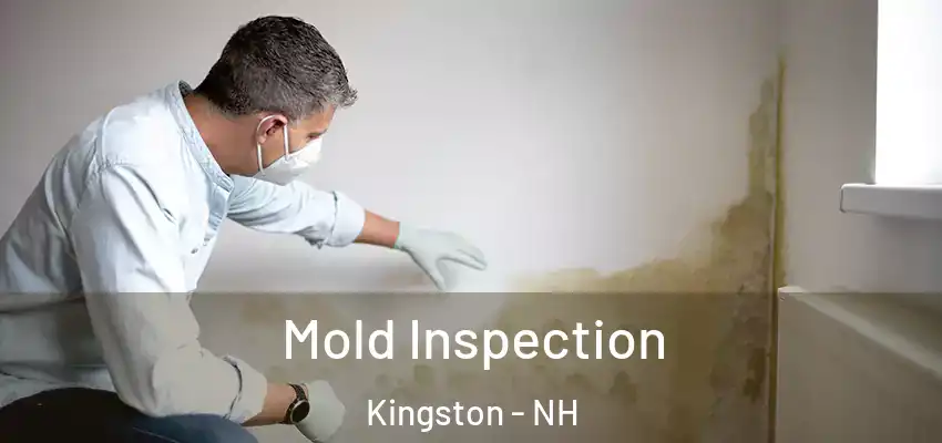  Mold Inspection Kingston - NH