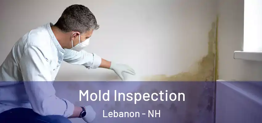  Mold Inspection Lebanon - NH