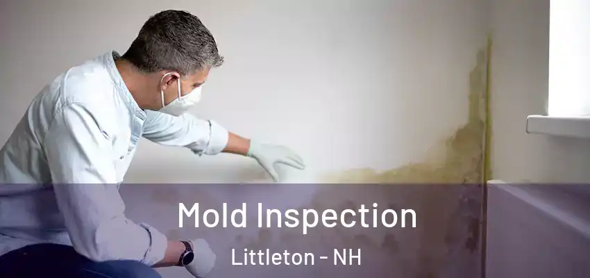 Mold Inspection Littleton - NH