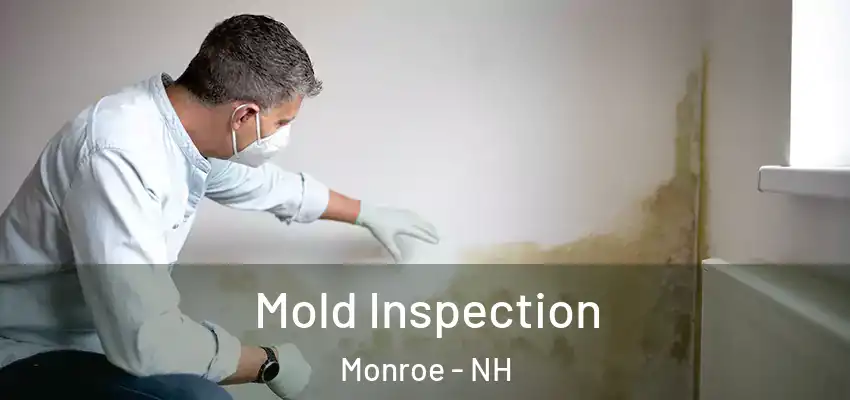 Mold Inspection Monroe - NH