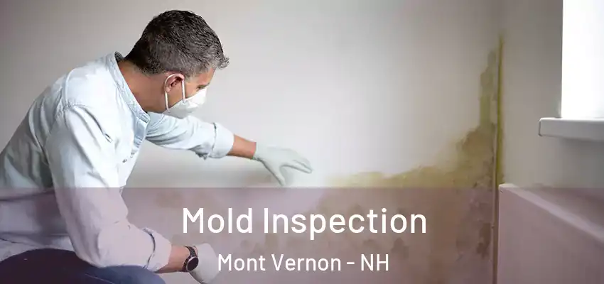 Mold Inspection Mont Vernon - NH
