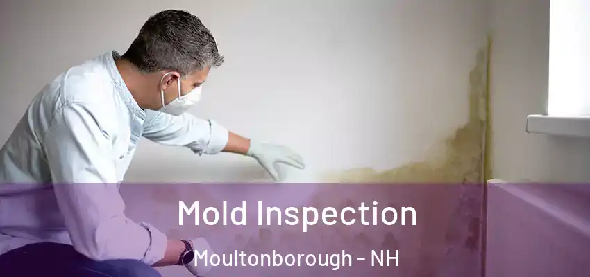 Mold Inspection Moultonborough - NH