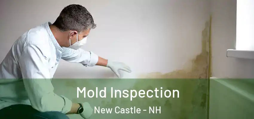  Mold Inspection New Castle - NH