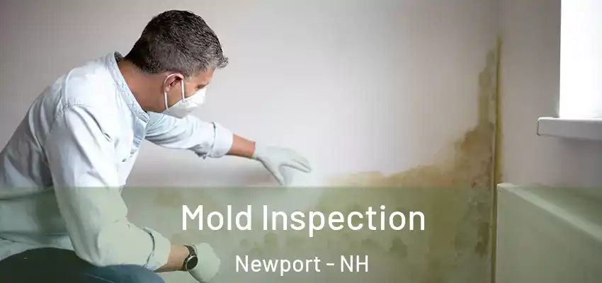  Mold Inspection Newport - NH