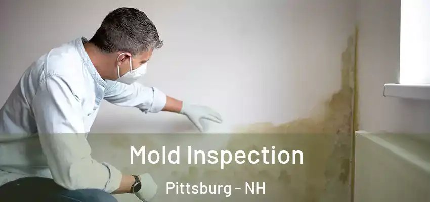  Mold Inspection Pittsburg - NH