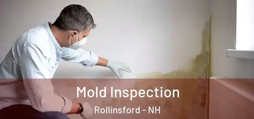  Mold Inspection Rollinsford - NH
