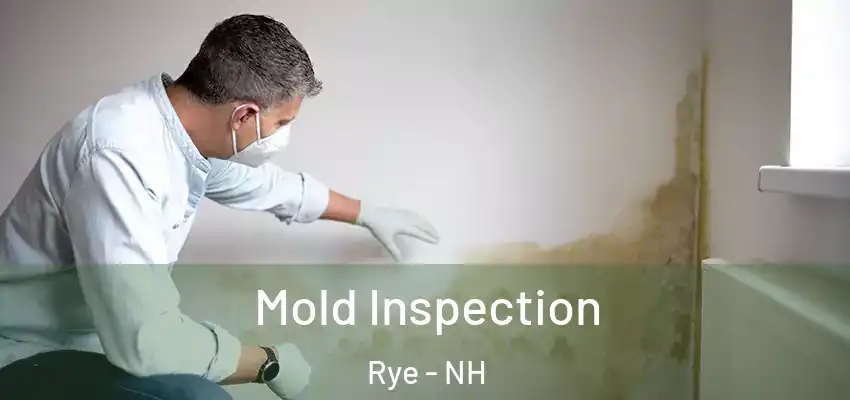  Mold Inspection Rye - NH