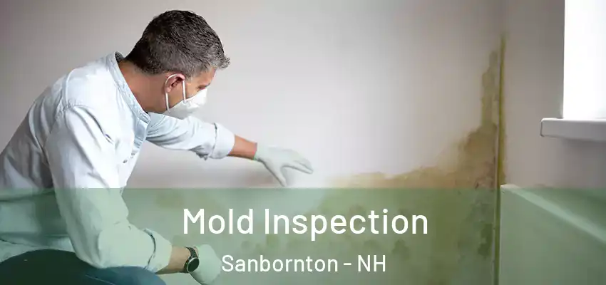 Mold Inspection Sanbornton - NH