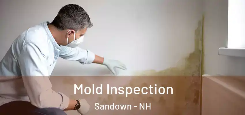  Mold Inspection Sandown - NH
