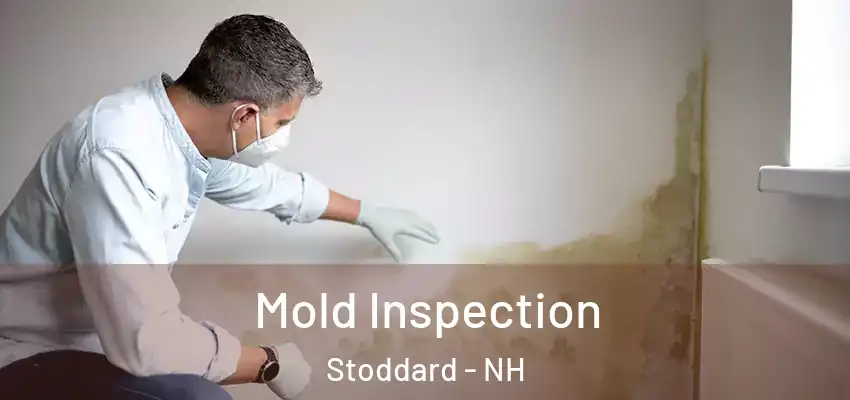  Mold Inspection Stoddard - NH