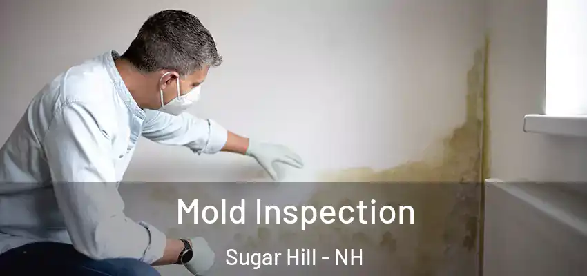 Mold Inspection Sugar Hill - NH
