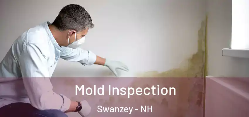  Mold Inspection Swanzey - NH