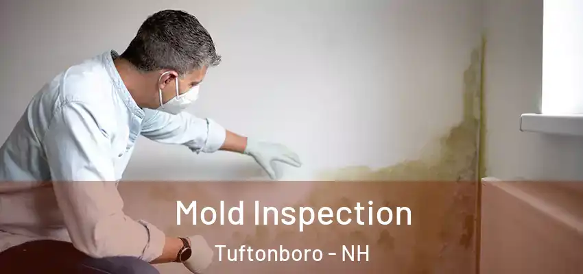 Mold Inspection Tuftonboro - NH