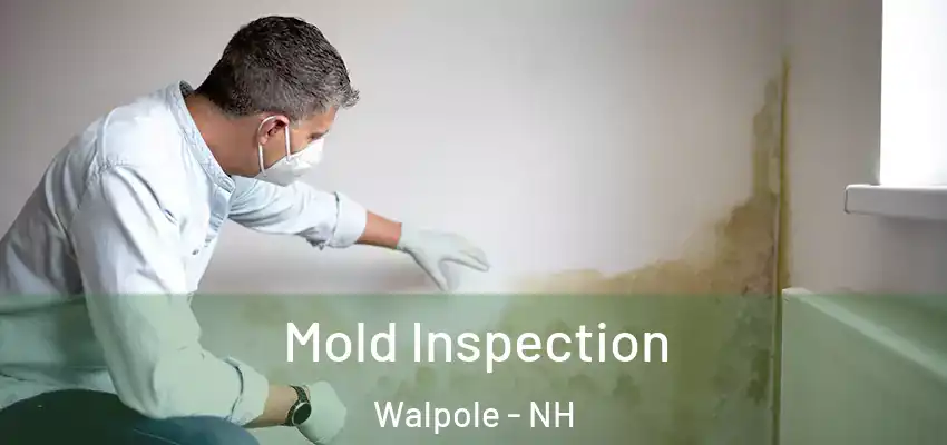  Mold Inspection Walpole - NH