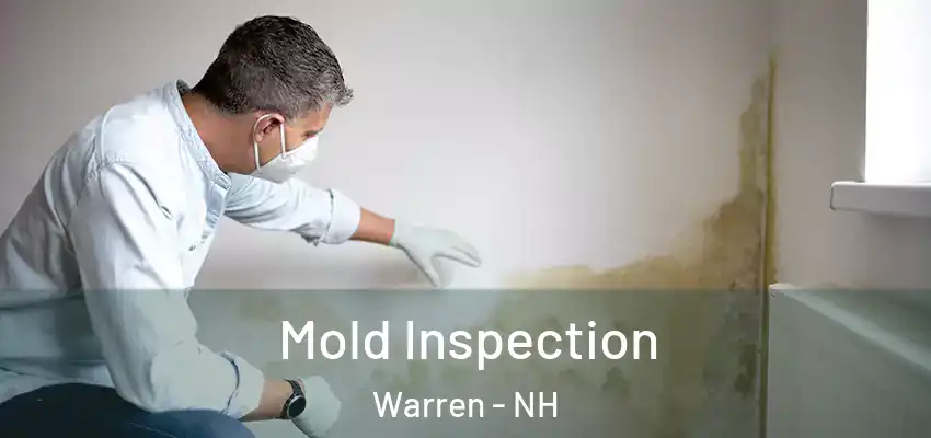 Mold Inspection Warren - NH