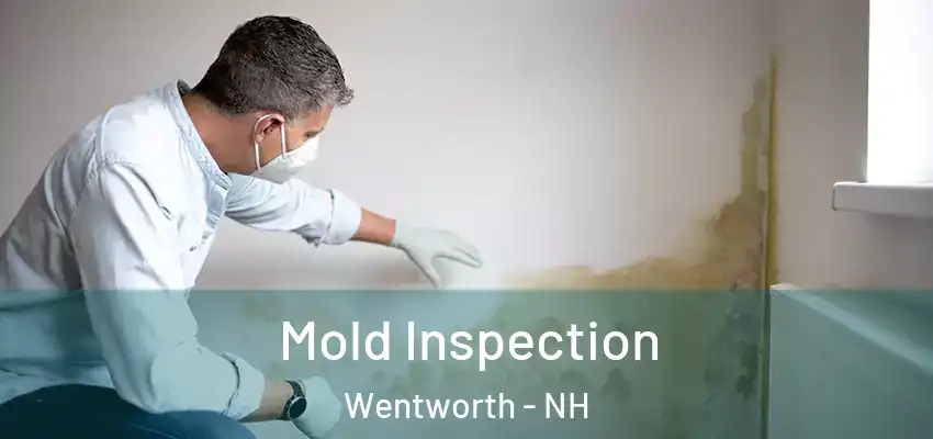 Mold Inspection Wentworth - NH
